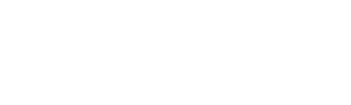 Conifer Village at Cayuga Meadows